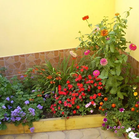 招待所 фантазия 特里亚夫纳