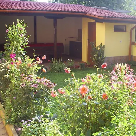 фантазия 招待所