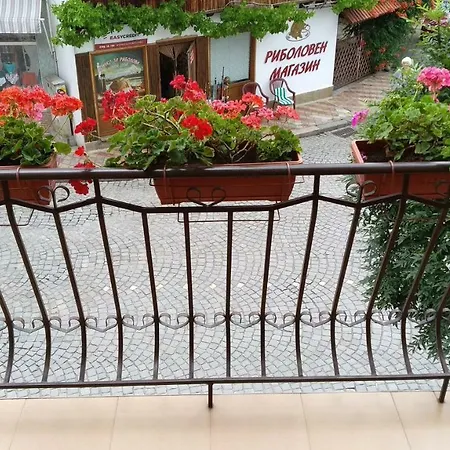 фантазия Tryavna