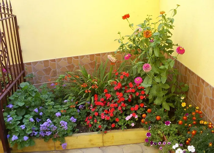 Affittacamere фантазия Tryavna